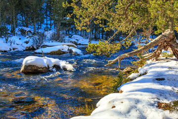Watercourse in the Pyrenees Orientales mountains in France. Fir forest, rock and tree trunk under the snow.

