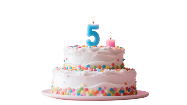 A two - tier birthday cake with white frosting, colorful sprinkles and a number 5 candle on top.