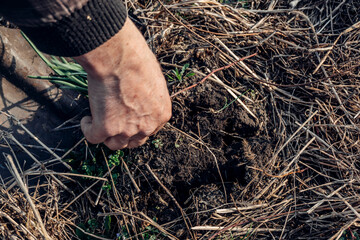 man holding a shovel