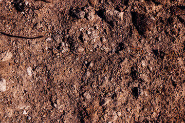 texture of a stone