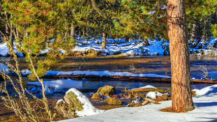Watercourse in the Pyrenees Orientales mountains in France. Fir forest, rock and tree trunk under the snow.

