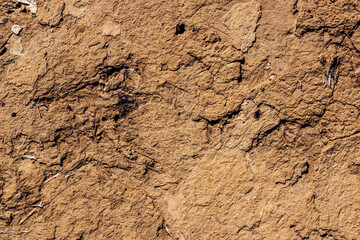 texture of the sand
