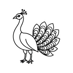 Elegant Peacock Vector Illustration Black and White Outline Design Style