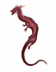 Obraz premium ドラゴン 3DCGレンダリング