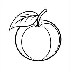 Simple and clean line drawing of an orange with leaf vector