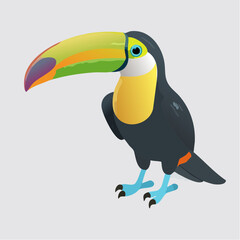 Obraz premium colorful toucan bird with vibrant yellow chest