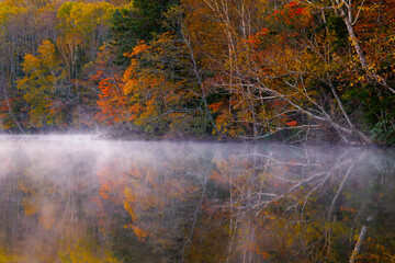 オンネトーの紅葉