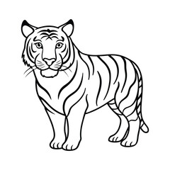 Elegant Tiger Illustration Black and White Outline Drawing of Wildlife
