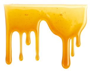 Honey dripping in vertical lines isolated on transparent background
