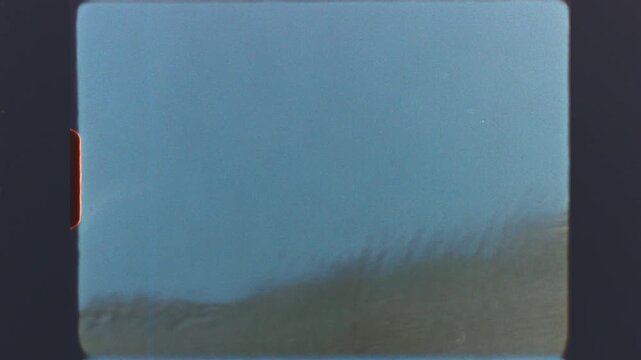 Tall grass on beach dunes at El Saler Valencia Spain on retro super 8mm vintage film