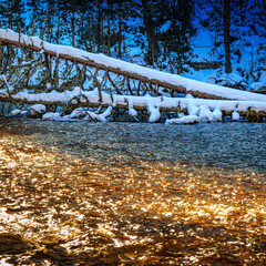 Watercourse in the Pyrenees Orientales mountains in France. Fir forest, rock and tree trunk under the snow.
