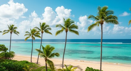 Obraz premium Tropical Beach Scene with Palm Trees and Turquoise Water