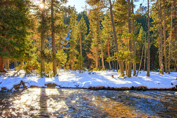 Watercourse in the Pyrenees Orientales mountains in France. Fir forest, rock and tree trunk under the snow.
