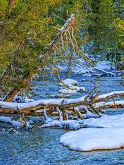 Watercourse in the Pyrenees Orientales mountains in France. Fir forest, rock and tree trunk under the snow.
