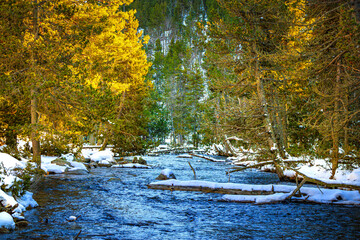 Watercourse in the Pyrenees Orientales mountains in France. Fir forest, rock and tree trunk under the snow.
