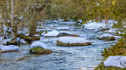 Watercourse in the Pyrenees Orientales mountains in France. Fir forest, rock and tree trunk under the snow.
