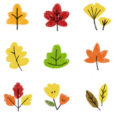 Obraz premium set of autumn leaves