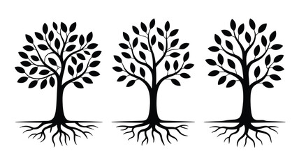 Three stylized black trees with visible roots on a white background