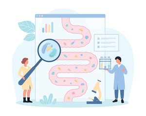 Healthy gut microbiome vector illustration. Cartoon tiny people with magnifying glass check lactobacilli, good microbiota inside human intestine on gastrointestinal tract anatomy infographic diagram