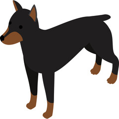 Black And Tan Doberman Pinscher Dog Standing With A Transparent Background Isometric View