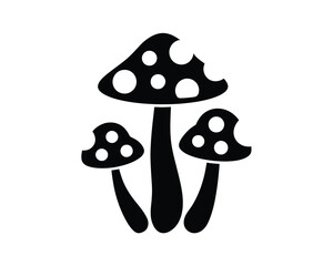 Naklejka premium Black and white illustration of three spotted mushrooms in a cluster