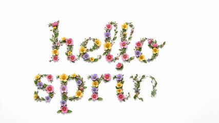 Hello spring text forming with small color flower buds on white background for seasonal greeting card footage