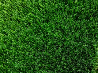 Close-up of long artificial grass texture with soft green blades and realistic appearance under natural daylight.