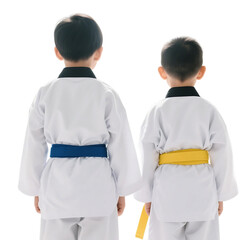 Two children in white taekwondo uniforms with black collars and different colored belts standing back to back.