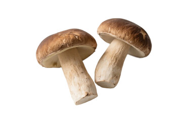 Two fresh brown mushrooms are shown, highlighting their caps and stems, representing a common edible fungus.