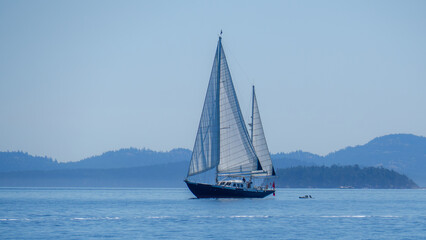 A gorgeous 2 masted sailboat sails along in light winds towing its dinghy in the Canadian Gulf Islands.