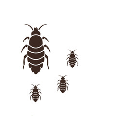 Springtail Cluster