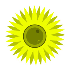 Bright vector illustration of a sunflower with yellow petals and brown center, simple and clean design ideal for nature and floral themes