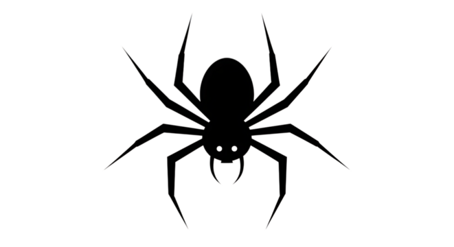 spider on white background