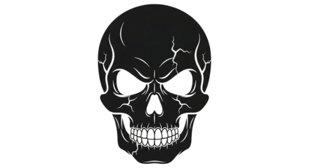 skull on white background