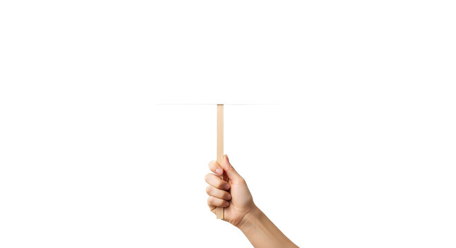 Blank Sign Board Held By Hand, Copy Space For Text, Message Or Graphics