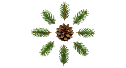Pine Cone and Fir Branches Arranged in a Circular Pattern.