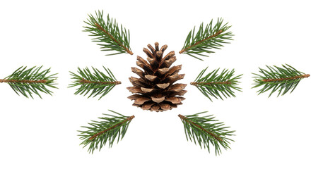 Fototapeta premium Pine Cone and Fir Branches Arrangement.