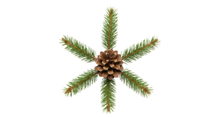 Pine Cone and Spruce Branches Star Shape.