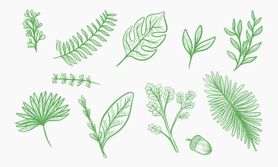 A collection of hand-drawn green botanical illustrations depicting various leaves, a sprig, and an acorn.