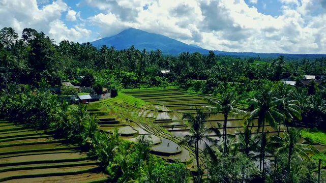 Enchanting Aerial View of Belimbing Rice Terraces &ndash; Hidden Paradise in Pupuan, Tabanan Bali