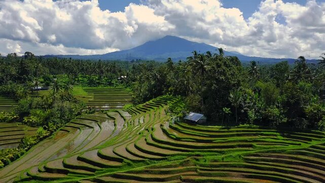 Enchanting Aerial View of Belimbing Rice Terraces &ndash; Hidden Paradise in Pupuan, Tabanan Bali