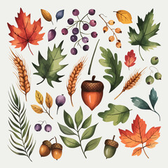 Thanksgiving bundle Watercolor autumn elements collection with leaves acorns and berries