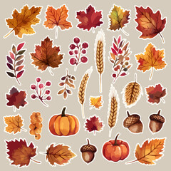 Thanksgiving bundle Collection of autumn leaves pumpkins acorns and wheat stalks sticker set