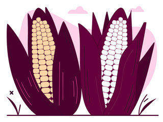 vector illustration of an abstract background nutrition, raw, sweetcorn, healthy, white, isolated, corn, food, maize, plant, fresh, grain, organic, vector, ripe, leaf, illustration, green, nature, cro
