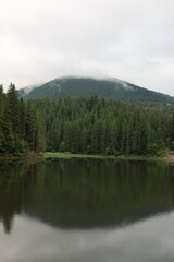 Mountain lake with calm water reflecting dense evergreen forest and misty peaks under a cloudy sky. Peaceful wilderness landscape in the Carpathian mountains.
