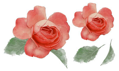 水彩で描いた赤い薔薇のイラスト素材セット