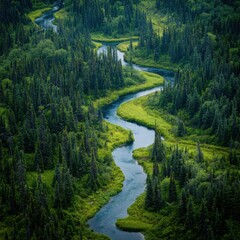 A serene river winding through lush green boreal forest scenery.