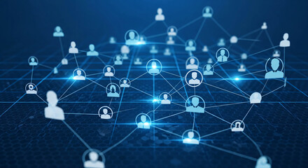 Connected Network: Digital People in a Social Structure