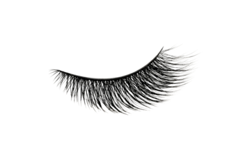 Close-up of black false eyelashes