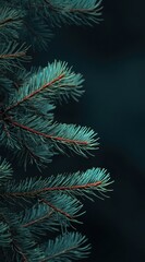 Teal evergreen boughs with reddish-brown stems against a dark, blurred background, showcasing intricate needle detail and a vertical composition
